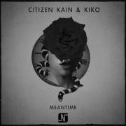 Meantime Pt 1 Citizen Kain Kiko