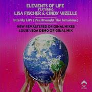 Into My Life You Brought The Sunshine Louie Vega Roots Mix Feat Lisa