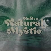 Bob Marley The Wailers Natural Mystic Lyric Video Bob Marley