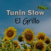 Tunin Slow El Grillo