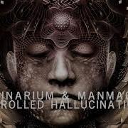 Controlled Hallucination Imaginarium Manmachine