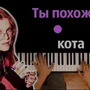 Ты Похож На Кота Бит