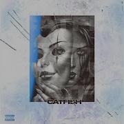 Jayo Catfish Feat Enfluence