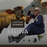 Kuyophela Izinhlamvu Saliwa