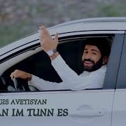 Sargis Avetisyan Hayastan Im Tunn Es