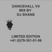 Dj Shane Vollgas Q7