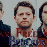 Team Free Will Believer Song Video Request