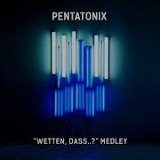 Wetten Dass Medley Pentatonix