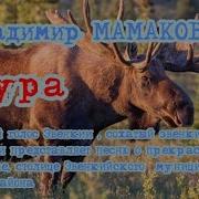 Мамаков Тура Эвенкия