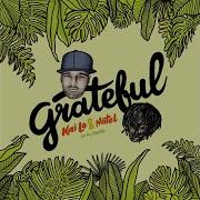 Kailo Grateful