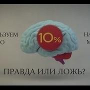 С В Савельев Как Заставить Работать Мозг