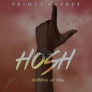 Prince Kaybee Ft Sir Trill Hosh Official Visualizer Prince Kaybee