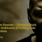 Dave Seaman Gobbledygook