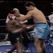 Mike Tyson Hits The Referee Horacebrown