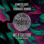 Kemeticjust We R Culture Feat Terrance Downs Dj Spinna Galactic Soul Remix