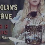 Carolan S Harp Traditional Irish Baroque Music