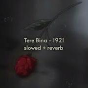 Tere Bina Slowed Reverb 1921 Arijit Singh Aakanksha Sharma Asterix