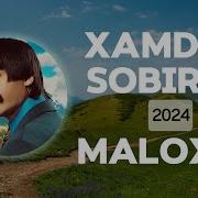 Xamdam Sobirov Maloxat Lyrics Qoʻshiq Matni Qoʻshiq Soʻzlari Lyric