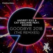 Goodbye Don T Forget That You Were Mine 2018 Feat Savage Arseniy Niki Remix Edit