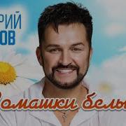 0 39 3 22 Дмитрий Прянов Ромашки Белые