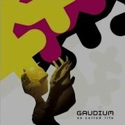 Sit Back Relax Gaudium