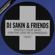 Dj Sakin Friends Protect Your Mind For The Love Of A Princess Ayla Remix