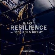 Resilience With Noixes Joelmy