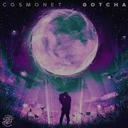 Cosmonet Gotcha