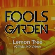 Lemon Tree Fool S Garden