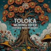 Toloka Insomnia Original Mix