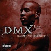 Let Me Fly Dmx