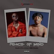 Studio 878 Peace Of Mind Feat Arina Nba Osabla