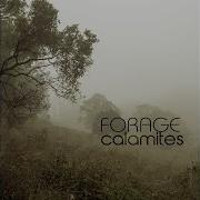 Forage Calamites Soren Nordstrom Remix