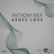 Anthony Mea Miss Your Love