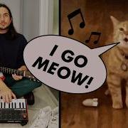 The Kiffness X Cala I Go Meow Singing Cat The Kiffness