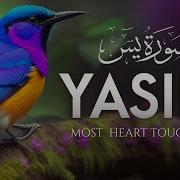 Surah Yasin Yaseen سورة يس Beautiful Voice Heart Touching Zikrullah Tv