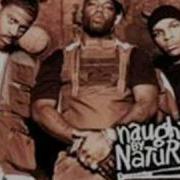 Naughty By Nature On The Run