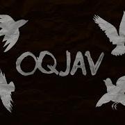 4 Птицы Oqjav