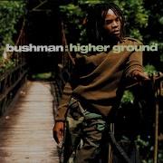 Bushman Never Have It Easy