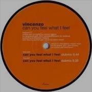 Can You Feel What I Feel Vincenzo