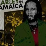 Make Some Music Ziggy Marley