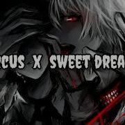 Altego Music Circus Sweet Dreams