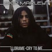 Skip Marley Cry To Me Kustom Mike Remix