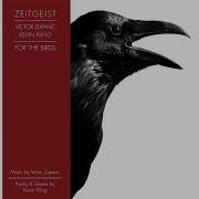 Zeitgeist Cape Clear