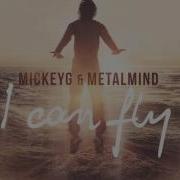 Mickeyg I Can Fly Radio Edit