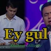 Shuhrat Dillayev Ey Gul Шухрат Диллаев Эй Гул