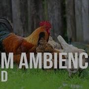 1 Hour Of Farm Animal Noises Farm Ambience Sound For Sleeping Sounds For Mood