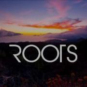 Imagine Dragons Roots Lyrics