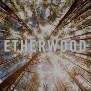 Etherwood Begin By Letting Go