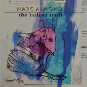 Pleasure S Wherever You Are Marc Almond